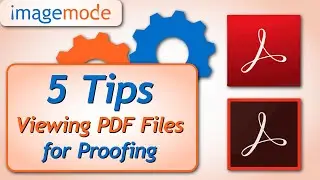5 Tips on Viewing PDF Files
