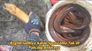 NGGA MAIN MAIN‼️ LAMA TAK MANCING BELUT LANGSUNG TERANGKAT BELUT BELUT TERBESARNYA