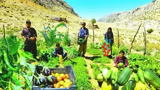Organic farm, harvesting organic products from nomadic gardens, completely natural evenings