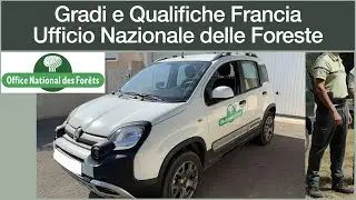 Gradi e Qualifiche Ufficio Nazionale delle Foreste della Francia