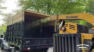 Woody's Tree Service - Monmouth County, NJ