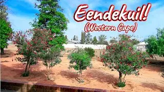 Eendekuil, Western Cape! Ep 493