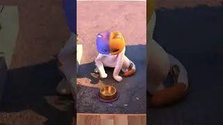 Poor Kit wants some food... wait until the end! 😈