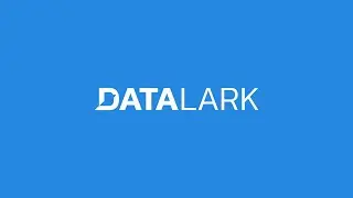 DataLark - Data Management Platform by LeverX