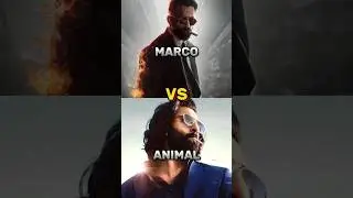 Marco Vs Animal Box Office Collection Worldwide || #marco #animal #shorts #indianmovie