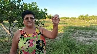 Projeto S&atilde;o Jos&eacute; 4 - Pedra Branca/Palhano-ce
