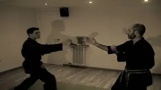 KOTO RYU (NINJUTSU BUJINKAN TERRASSA)