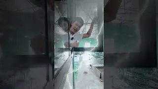 Cửa sổ mở quay hất hệ C65 Seaaluk