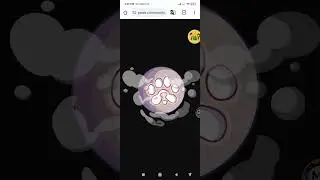 PAWS verify by web | paws new task verify easily