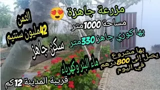فرمة صغيرة جاهزة petit ferme