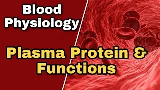 Function of plasma Protein