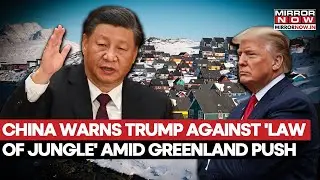China's Vice Premier Warns Trump Against 'Law Of Jungle' Amid His Greenland Push | What Did He Say?