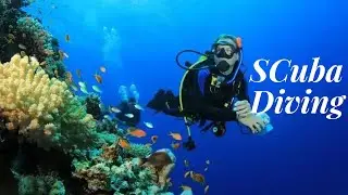 Scuba diving | scuba diving in Coral Island | scuba diving in Pattaya , Thailand