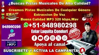 KARAOKE PISTA GRATIS - MIX DILE - CHACALON JR. (D.R.)