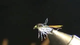 Fly Tying 
