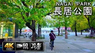 Why is everyone running? 🇯🇵 Nagai Park in mid-winter, Osaka 🐙