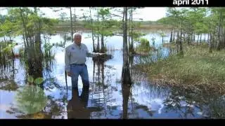 SustainableWPB Drought 2011 FINAL.mp4