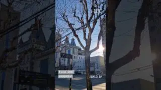 2026.01.02, Seoul Расскажу немного о корейской муке^^ #koreatoday #lanayourguideinkorea