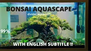 AQUASCAPE DIVIDER ROOM BONSAI THEME,WITH ENGLISH SUBTITLE