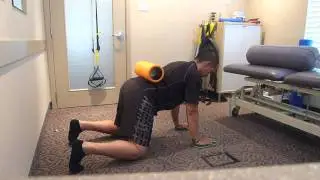 Valslide Quadruped Scapular Clock Slides