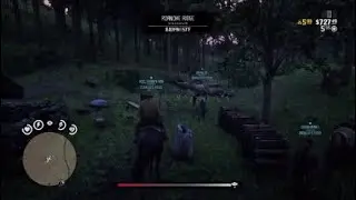 Red Dead Online - Duvals posse and Red_Shadow1990