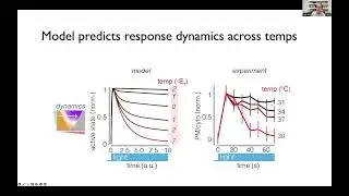 Lukasz Bugaj - Thermal control of proteins and cells