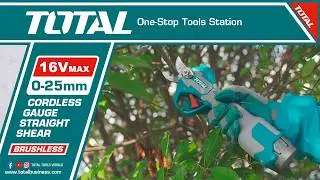 TOTAL 16V Cordless gauge straight shear TSSLI162581