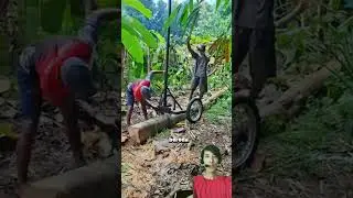 kerja berat menjadi lebih ringan #kerja  #kayu #angkut #shorts