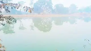Nature Video 30 Seconds|WhatsApp Status Video|Nature Background Videos