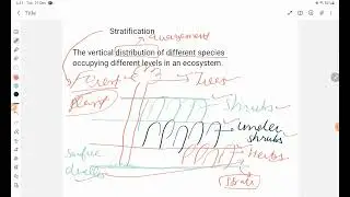 Stratification in Ecosystem | Biology in punjabi  | Ecosystem