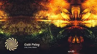 Gabi Peleg - The Second Story