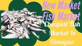 Dimapur Cheapest Fish Market | New Market Dimapur | Dimapur Wholesale Fish Market | Nagaland Dimapur