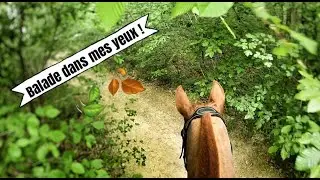 [ VLOG ] - Balade dans mes yeux , on va en for&ecirc;t (on se prend la pluie) 🐎🌿⛈️