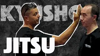 TECNICAS DE KYUSHO JITSU PARA LA DEFENSA PERSONAL /Artes Marciales en  Alicante