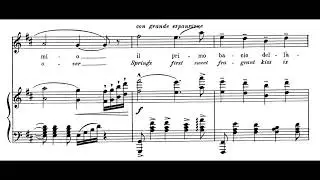Si, Mi chiamano Mimi (La Bohème - G. Puccini) Score Animation
