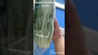 Vegetables Apple fruits Egg food bag packaging machine full automatic production line