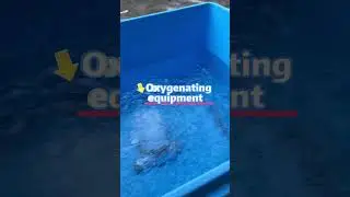 2000L Live fish bin,Maintain water temperature and oxygen supply.