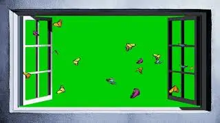 Window style green screen video for kinemaster 2020 | butterflies green screen video for kinemaster