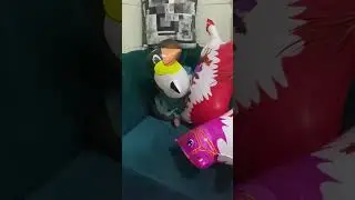 Hhhvsd d dd djdjd. Fffn f ffnf