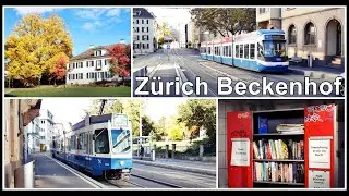 Autumn, free books & Tram-Stop Zurich / Tram Haltestelle Z&uuml;rich Beckenhof, Stadt Z&uuml;rich, Schweiz