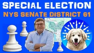 Special Election NYS Senate District 61.