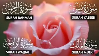 Soothing voice Of Surah Yaseen , Surah Rahman , Surah Mulk , Surah Waqiah #qurantilawat 