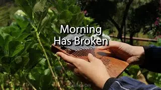 🌄Morning Has Broken - Kalimba Cover With Tabs
