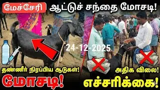 மேச்சேரி சந்தையில் நடக்கும் பகல் கொள்ளை! 😡 | Water Filled Goats | Don't Get Cheated! #mecheri #salem