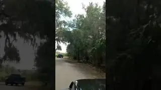 Scenic Jeep Ride Flagler Beach Florida 2