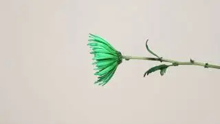 Green Flower Power