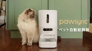 Pawsyncペット自動給餌器 | 製品紹介動画