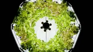 Fork Farms Flex Farm Timelapse