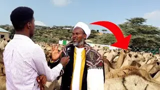 GEELA MOWLIID & WARAYSI 