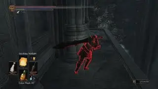 DARK SOULS III soothing sunlight + Force...  True combo